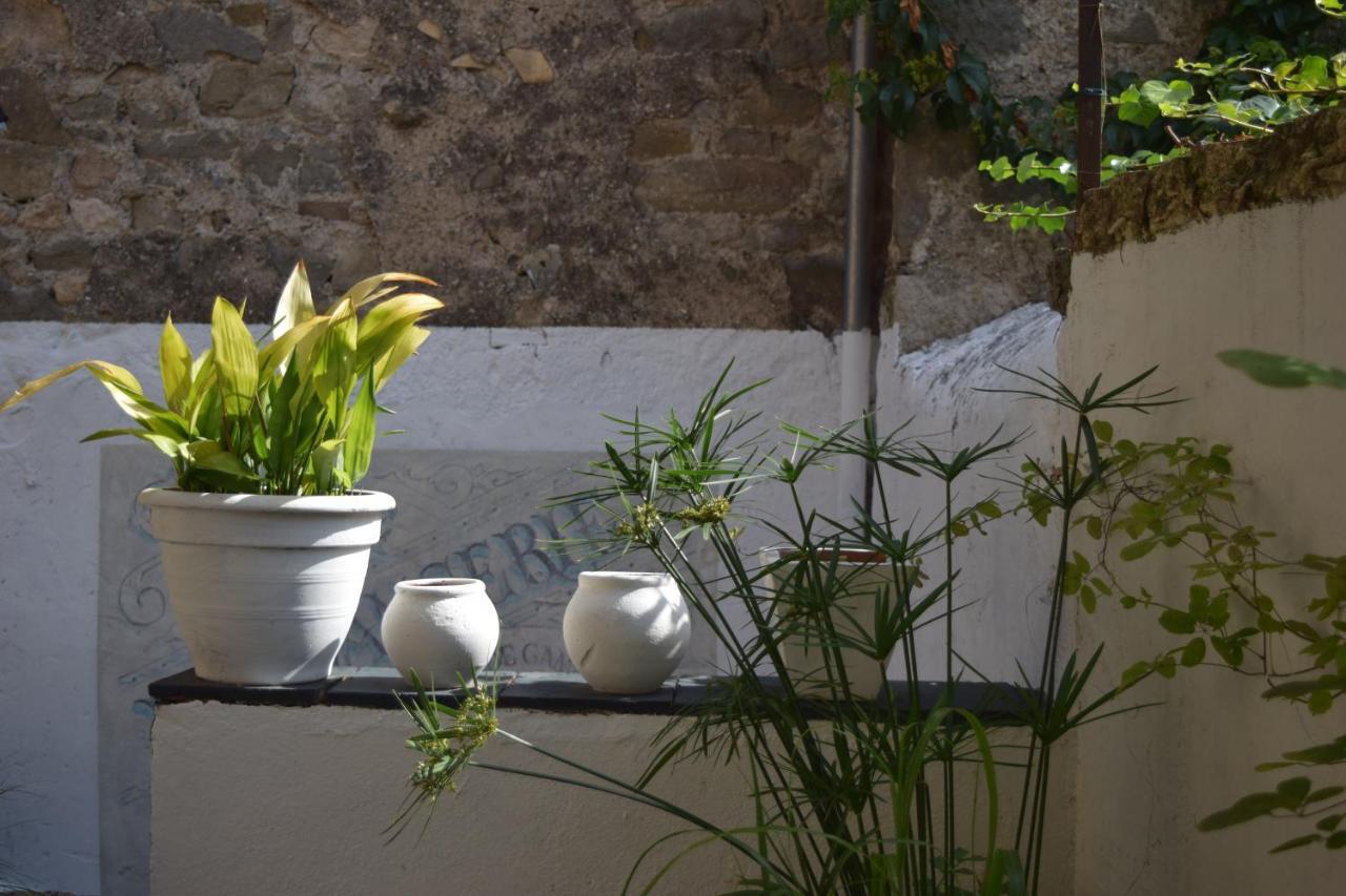 L'Ancienne Boulangerie Bed & Breakfast Caunes-Minervois Luaran gambar
